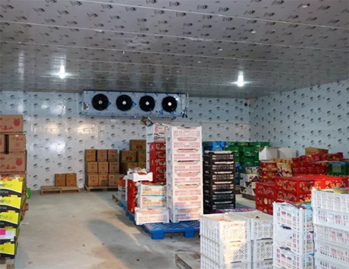 生鲜羞羞视频网址建造价格