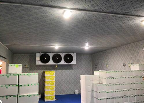 食品羞羞视频网址建造安装