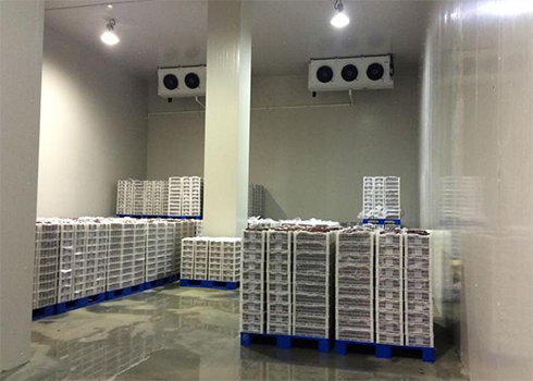 小型保鲜羞羞视频网址建造安装