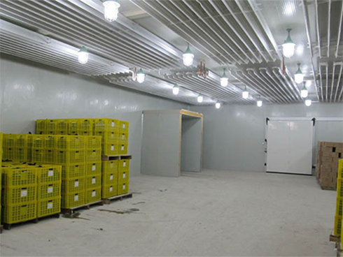 水果羞羞视频网址建设特点