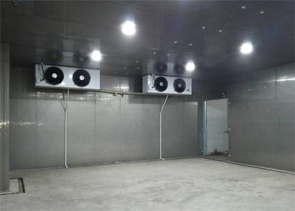 食品羞羞视频网址建造标准和温度需求