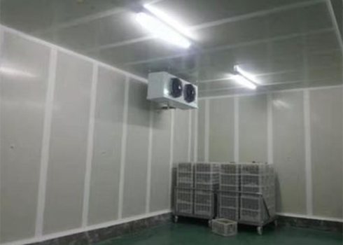 食品羞羞视频网址建造价格