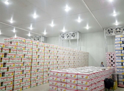 大型食品羞羞视频网址建造