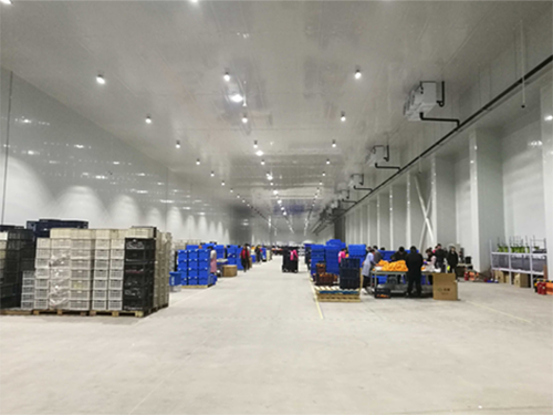 物流羞羞视频网址建设安装