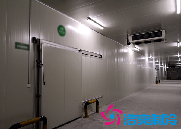 储藏5万斤蒜苔的保鲜羞羞视频网址造价需要花费多少钱？_羞羞网站在线播放制冷