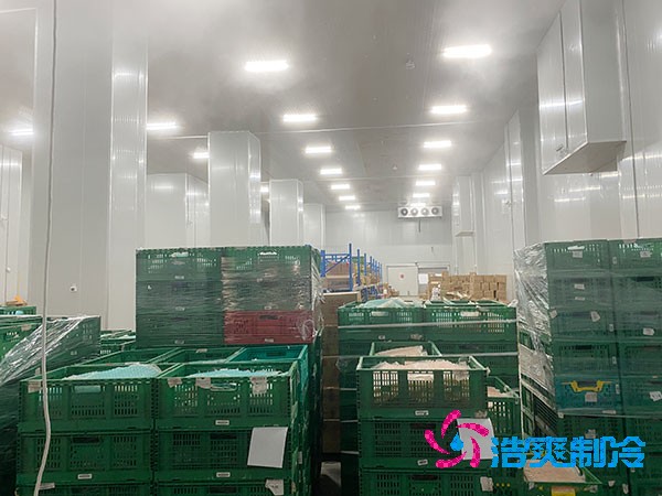 万吨大型羞羞视频网址冷藏库建造多少钱