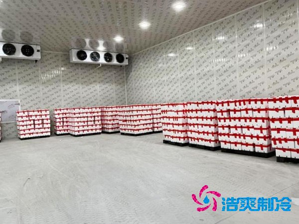 槟榔保鲜羞羞视频网址安装造价费用多少钱？-羞羞网站在线播放制冷