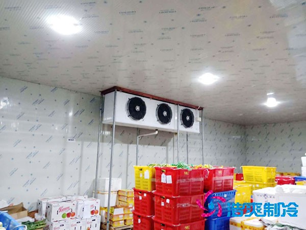 50吨羞羞视频网址造价及建造面积