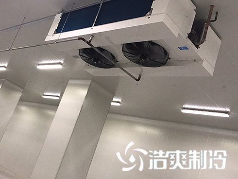 河北周黑鸭新工厂项目1#车间羞羞视频网址建造