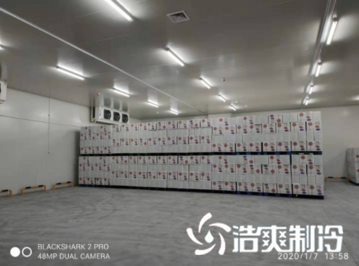 安徽洽洽49500m³食品加工羞羞视频网址建造