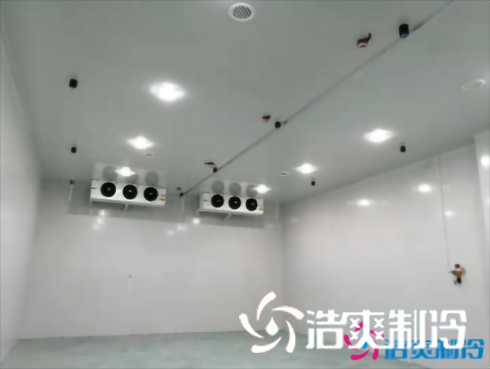 上海巴洛美巧克力食品羞羞视频网址建造设计