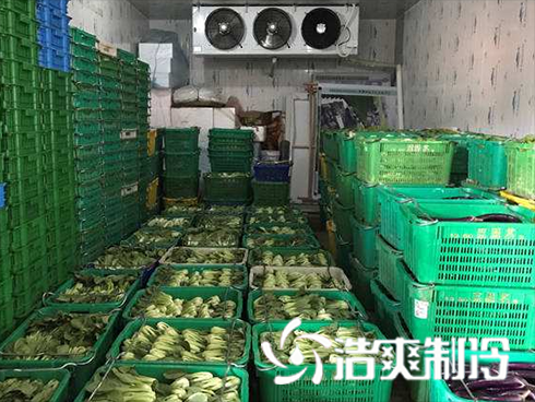 生鲜食品物流羞羞视频网址