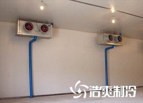 蛋品低温羞羞视频网址建造