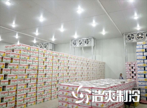 食品羞羞视频网址建造价格