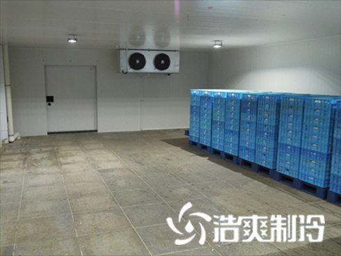 食品羞羞视频网址建造价格