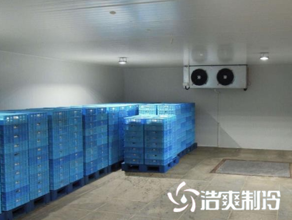 餐饮羞羞视频网址建设