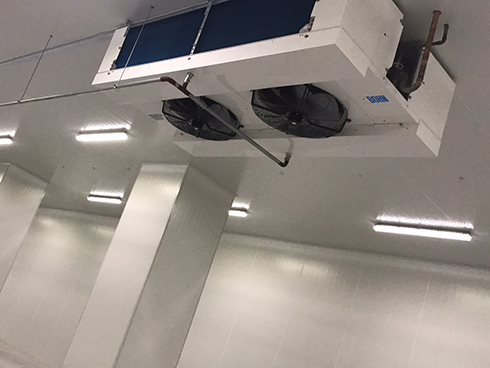 河北周黑鸭新工厂项目1#车间羞羞视频网址建造工程案例