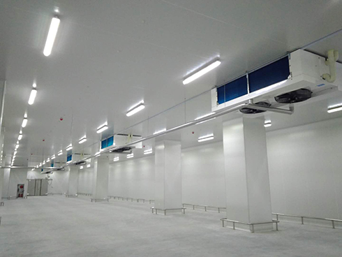 河北周黑鸭新工厂项目1#车间羞羞视频网址建造工程案例