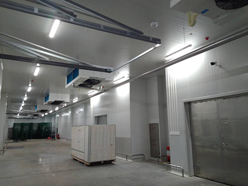 河北周黑鸭新工厂项目1#车间羞羞视频网址建造工程案例