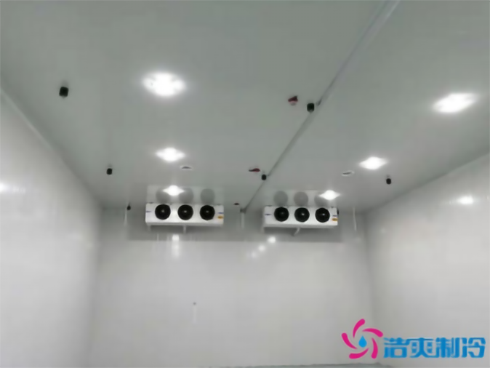 上海巴洛美巧克力食品羞羞视频网址建造设计